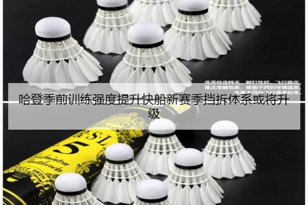 哈登季前训练强度提升快船新赛季挡拆体系或将升级